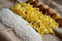 Bezlepkové cestoviny, pohánkové a špaldové cestoviny a výrobky od Slim pasta-biovitae.sk