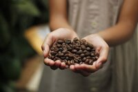 Ajurvédske kávy, káva Zlaté zrnko, Lyra čokoláda a vegan čokolády-biovitae.sk