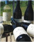 Zweigelt Blauburger 2019 Hager 750 ml