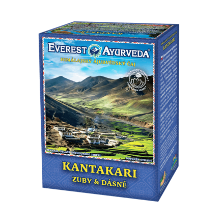 Kantakari Everest Ayurveda 100 g