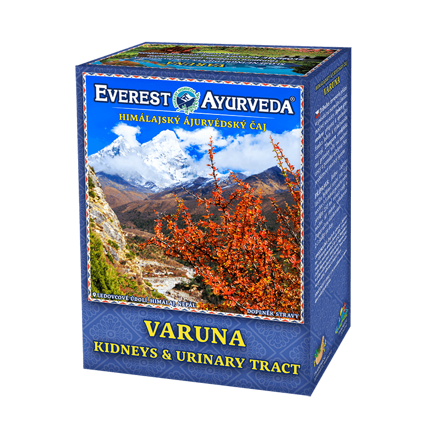 Varuna Ľadviny Everest Ayurveda 100 g