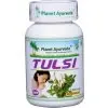 Tulsi Dýchacie Cesty Hlieny Planet Ayurveda 60 kps