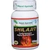 Shilajit Mumio Planet Ayurveda 60 kps