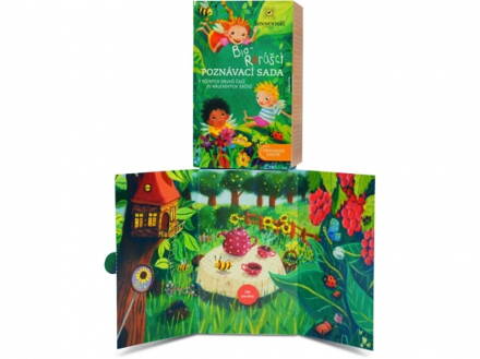 Raráškova Poznávacia Bio Sonnentor 20 x1,55 g 31 g