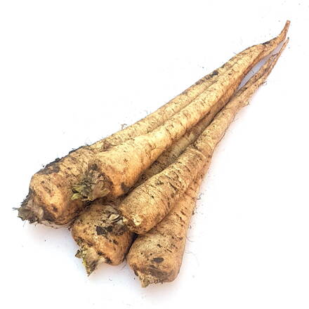 Petržlen Bio Akosť II Slovensko Rakúsko 1000 g