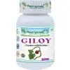 Giloy Guduchi Planet Ayurveda 60 kps