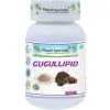 Gugulipid Cholesterol Tuky Planet Ayurveda 60 kps