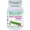 Chanca Piedra Phyllanthus Planet Ayurveda 60 kps 