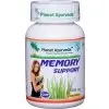 Memory Support Planet Ayurveda 60 kps