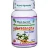 Ahwagandha Stres Spánok Planet Ayurveda 60 kps