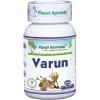 Varun Planet Ayurveda 60 kps